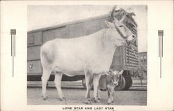 Lone Star and Lady Star Postcard