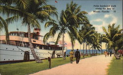 Palm Bordered Walk along the Bay Miami, FL Postcard Postcard