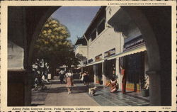 Along Palm Canyon Drive Postcard