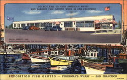 Exposition Fish Grotto - Fisherman's Wharf Postcard