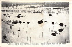 Flood Scene on Merrimac River, The Great Flood of 1936 Postcard