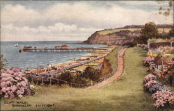 Cliff Walk - Isle of Wight Postcard