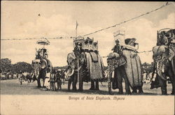 Group fo State Elephants Mysore, India Postcard Postcard