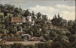 Near Mount Lofty in South Australia Postcard