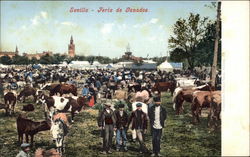 Feria de Ganados - Livestock Fair Postcard