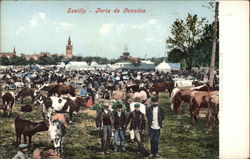 Feria de Ganados Postcard