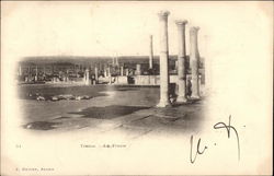 The Forum Timgad, Algeria Africa Postcard Postcard