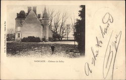 Saincaize - Château du Sallay Saincaize-Meauce, France Postcard Postcard