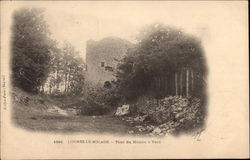 Tour du Moulin a Vente Lorrez-Le-Bocage, France Postcard Postcard