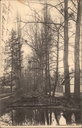 Riviere Sous Bois Postcard