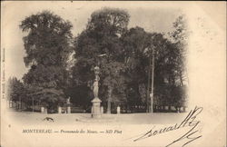 Promenade des Noues Postcard