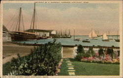 View of Harbour Nantucket, MA Postcard Postcard