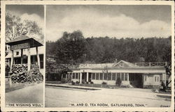 M & O Tea Room Gatlinburg, TN Postcard Postcard