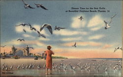 Dinner Time for the Sea Gulls at the Beach Daytona Beach, FL Postcard Postcard