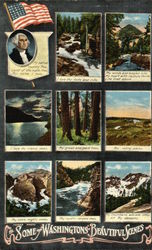 Some of Washington's Beautiful Scenes Postcard