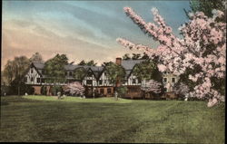 Sedgefield Inn Postcard