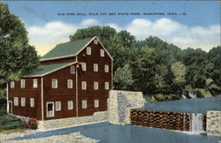 Old Pine Mill, Wild Cat Den State Park Postcard