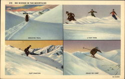 Ski Scenes in the Mountains Skiing Postcard Postcard