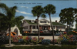 Palma Ceia Golf Club Postcard