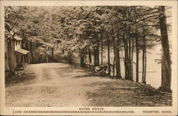 Bates Grove, Lake Chargoggagoggmanchuaggagoggchaubunagungamaugg Webster, MA Postcard Postcard