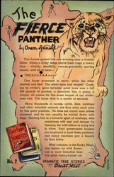 Dramatic True Stories From the Great West - The Fierce Panther Postcard