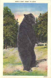 I Can't Bear To Leave Postcard