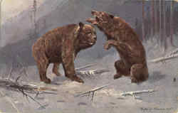 Bears Fighting Postcard