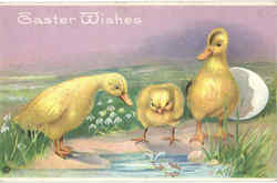 Easter Wishes Postcard