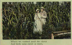 Couple in Cornfield Postcard