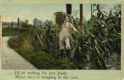 I'll be waiting for your Jessie when they're bringing in the corn Postcard