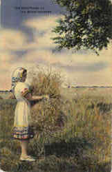 The Sweetheart Of The Wheat Country Farming Postcard Postcard