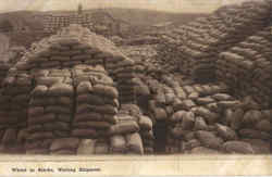 Wheat In Stacks Waiting Shipment Postcard