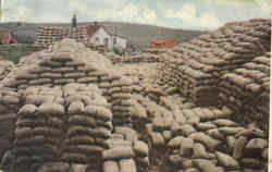 10,000 Tons of Wheat Ready For Shipment Farming Postcard Postcard