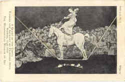 A Queen Of The Circus Postcard