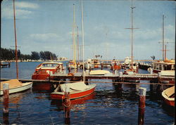 Yacht Basin St. Petersburg, FL Large Format Postcard Large Format Postcard