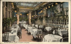 Hotel Atlantic - Winter Gardens Postcard