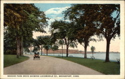 Seaside Park Drive showing Locomobile Co Bridgeport, CT Postcard Postcard