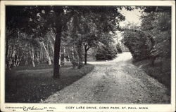 Cozy Lake Drive - Como Park St. Paul, MN Postcard Postcard