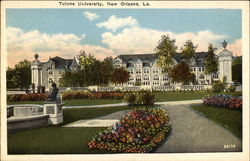 Tulane University New Orleans, LA Postcard Postcard