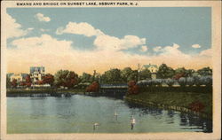 Swans and Bridge on Sunset Lake Postcard