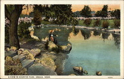 A View in Kountze Park Postcard