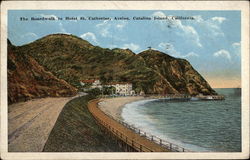 The Boardwalk to St, Catherine, Avalon Postcard