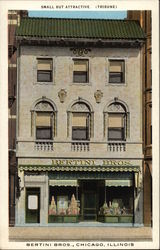 Small But Attractive - Bertini Brothers Chicago, IL Postcard Postcard