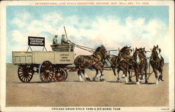 Chicago Union Stock Yard's Six Horse Team Illinois Postcard Postcard