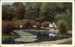 Lily Pond in McKinley Park Tacoma, WA Postcard Postcard