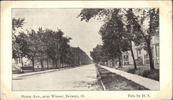 Home Ave., near Winsor Postcard