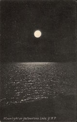 Moonlight on Yellowstone Lake Postcard