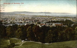 Birds-Eye View of City Postcard