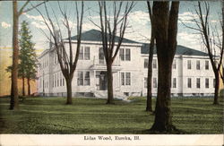 Lidas Wood Eureka, IL Postcard Postcard