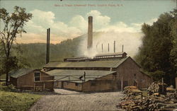 Geo. J. Treyz Chemical Plant Cooks Falls, NY Postcard Postcard